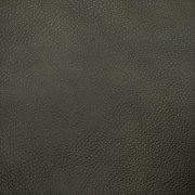Dark Olive